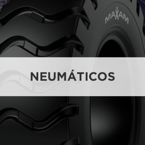 NEUMATICOS